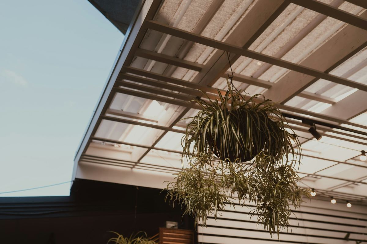 Terrasoverkapping met een lichtdoorlatend dak en een hangplant, gezien van onderen