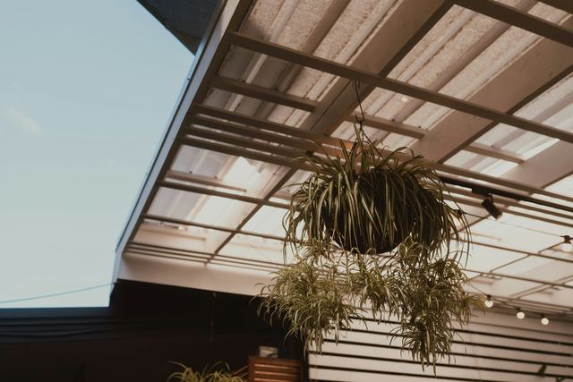 Terrasoverkapping met een lichtdoorlatend dak en een hangplant, gezien van onderen